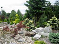 DABROWKA - školka okrasných, jehličnatých, listnatých keřů, Polsko 02