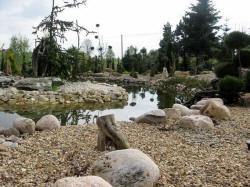 DABROWKA - školka okrasných, jehličnatých, listnatých keřů, Polsko 05