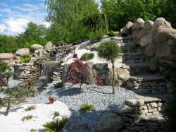 DABROWKA - školka okrasných, jehličnatých, listnatých keřů, Polsko 13