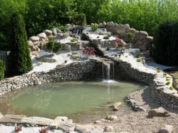 DABROWKA - školka okrasných, jehličnatých, listnatých keřů, Polsko 14