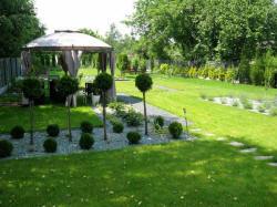 DABROWKA - školka okrasných, jehličnatých, listnatých keřů, Polsko 16